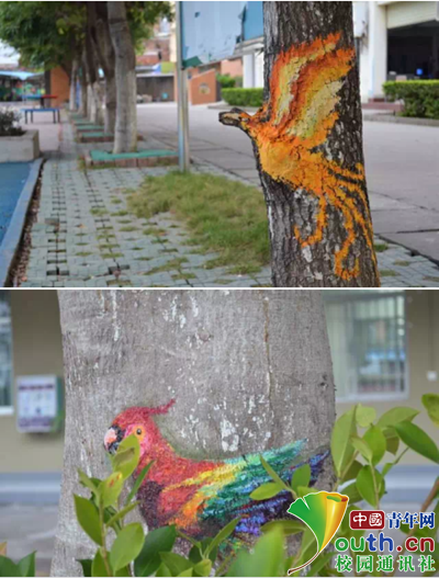 最文艺作业!广西大学生在树干上作画 卡通形象萌翻校园